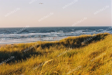 Strand Langeoog