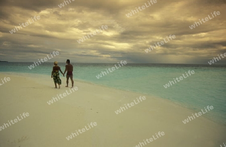 
Der Traumstrand mit Palmen und weissem Sand an der Insel Velavaru im Southmale Atoll auf den Inseln der Malediven im Indischen Ozean.   