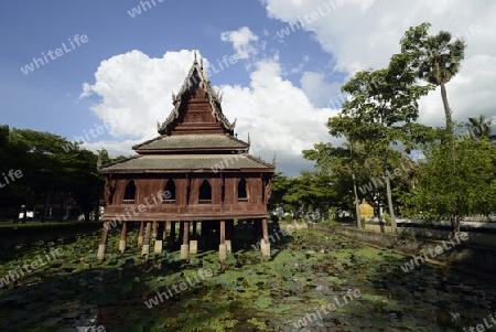 Der Tempel Wat Thung Si Meuang in der Stadt Ubon Ratchathani im nordosten von Thailand in Suedostasien.