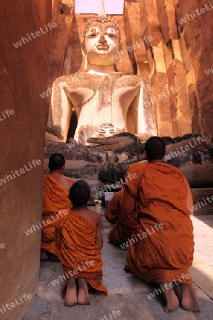 Moenche bestaunen die Buddha Figur  im Wat Si Chum Tempel in der Tempelanlage von Alt-Sukhothai in der Provinz Sukhothai im Norden von Thailand in Suedostasien.