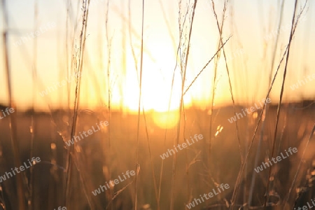 Sonnenuntergang in Franken