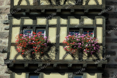 the olt town of the village of Riquewihr in the province of Alsace in France in Europe