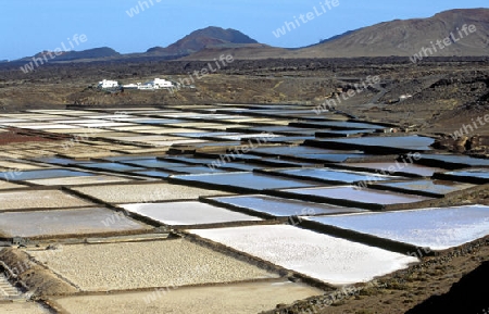 Lanzarote, Salinas de Janubio