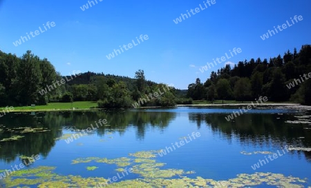 Sommer am Lauchertsee 2