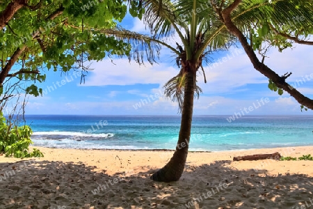 Sunny day beach view on the paradise islands Seychelles.