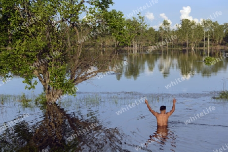 Ein Fischer in einer Lagune bei Khong Chiam in der Umgebung von Ubon Ratchathani im nordosten von Thailand in Suedostasien.