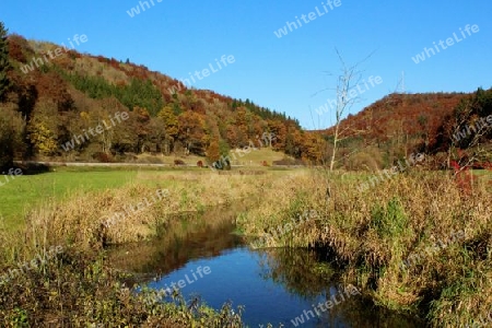 Herbstlandschaft