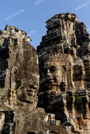 Stone Faces the Tempel Ruin of Angkor Thom in the Temple City of Angkor near the City of Siem Riep in the west of Cambodia.