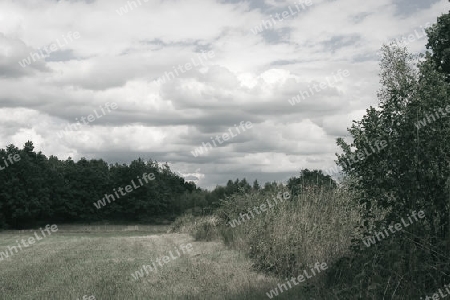 herbstlandschaft