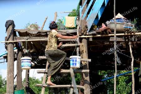 The People at wort in the Lake Village Kompong Pluk at the Lake Tonle Sap near the City of Siem Riep in the west of Cambodia.