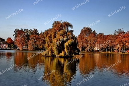  Herbst