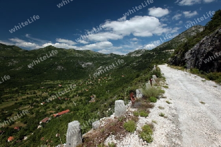 Die Landschaft  mit der Passstrasse zwischen Rijeka Crnojevica und Cetinje in Montenegro in Europa.  