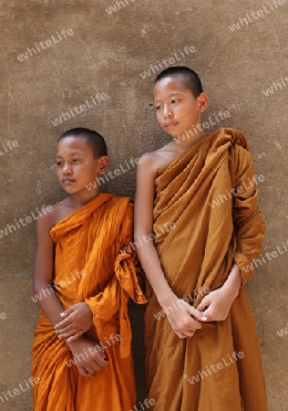 Moenche bestaunen die Buddha Figur  im Wat Si Chum Tempel in der Tempelanlage von Alt-Sukhothai in der Provinz Sukhothai im Norden von Thailand in Suedostasien.