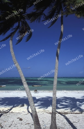 Der Traumstrand  von Michamvi am Chwaka Bay an der Ost-Kueste auf der Insel Zanzibar welche zu Tansania gehoert.         