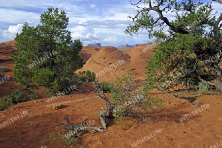 Typische Landschaftsform im Mystery Valley, Arizona, USA