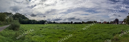 Beautiful high resolution panorama of a northern european country landscape with fields and green grass.