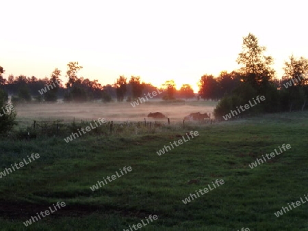 Sonnenaufgang