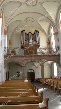 Orgel