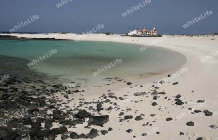 the Beach of  Los Lagos on the Island Fuerteventura on the Canary island of Spain in the Atlantic Ocean.