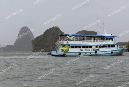 Kalkfelsen und Hoehlen im Ao Phang Nga Nationalpark wenige Bootsminuten oestlich von der Hauptinsel Puket auf der Insel Phuket im sueden von Thailand in Suedostasien.