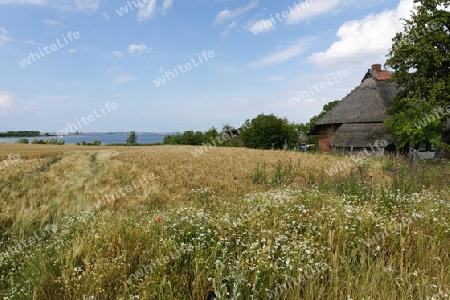 Bauernhaus am Salzhaff, Ostsee