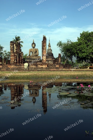 Der Wat Mahathat Tempel in der Tempelanlage von Alt-Sukhothai in der Provinz Sukhothai im Norden von Thailand in Suedostasien.