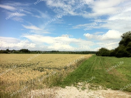 Wolke, Feld, Sommer