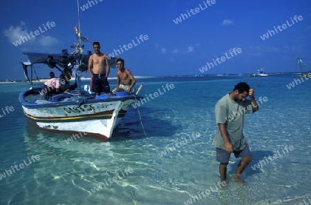 Afrika, Tunesien, Jerba
Ein Fischerboot am Strand auf der Insel Jerba im sueden von Tunesien.



