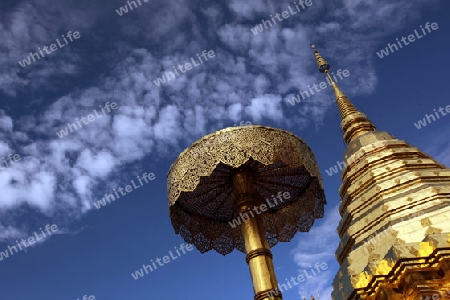 Der Chedi der Tempel Anlage des Wat Phra That Doi Suthep bei Chiang Mai in der Provinz Chiang Mai im Norden von Thailand in Suedostasien.