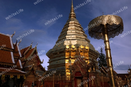 Der Chedi der Tempel Anlage des Wat Phra That Doi Suthep bei Chiang Mai in der Provinz Chiang Mai im Norden von Thailand in Suedostasien.