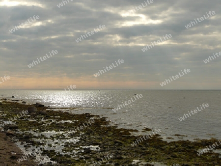 Naturstrand an der Ostsee bei Gollwitz, Insel Poel