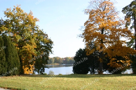 Neuer Garten am Heiligen See