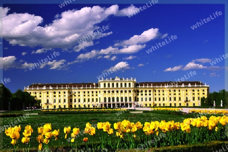 Sch?nbrunn im Fr?hling