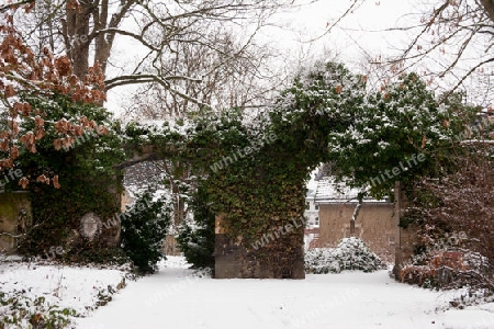 Johannisfriedhof Jena im Winter