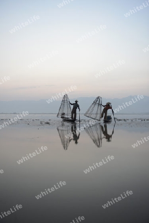 Fishermen at sunrise in the Landscape on the Inle Lake in the Shan State in the east of Myanmar in Southeastasia.