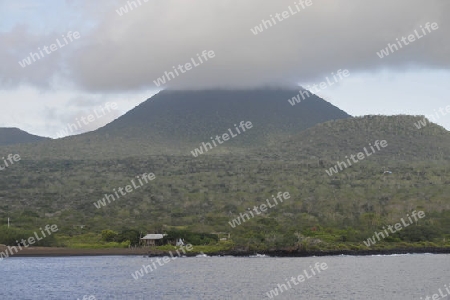 Galapagos, Insel Santa Maria