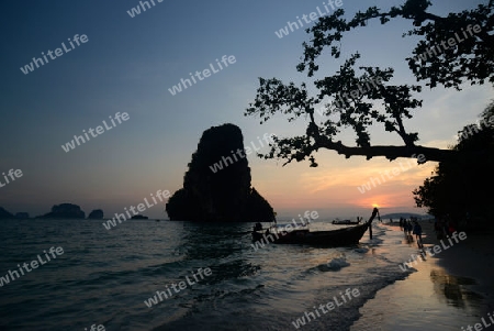 The Hat Phra Nang Beach at Railay near Ao Nang outside of the City of Krabi on the Andaman Sea in the south of Thailand. 