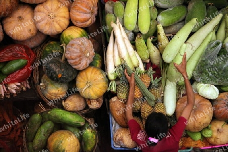 Asien, Indonesien, Bali, Denpasar, Markt, Wirtschaft, Alltag
Eine Szene auf dem grossen Markt Pasar Badung in der Hauptstadt Denpasar im sueden von Bali im osten von Indonesien.       (Urs Flueeler) 