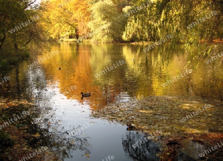 Englischer Garten M?nchen