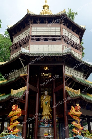 The Temple Wat Tham Seau outside the City centre of Krabi on the Andaman Sea in the south of Thailand. 