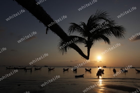 Der Strand  von Hat Sai Ri auf der Insel Ko Tao im Golf von Thailand im Suedwesten von Thailand in Suedostasien. 