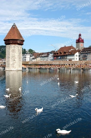 Wasserturm Luzern
