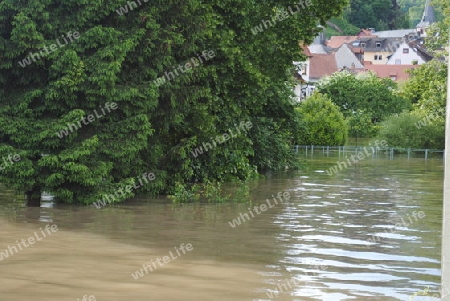 Hochwasser Rhein-Neckar