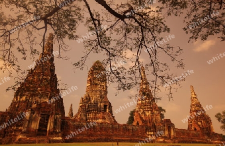 Der Wat Chai Wattanaram Tempel in der Tempelstadt Ayutthaya noerdlich von Bangkok in Thailand.