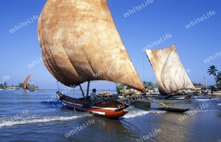 Ein Strand mit einem Segelboot in Negombo im westen von Sri Lanka in Asien.