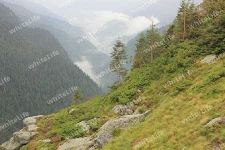 Transfagaras