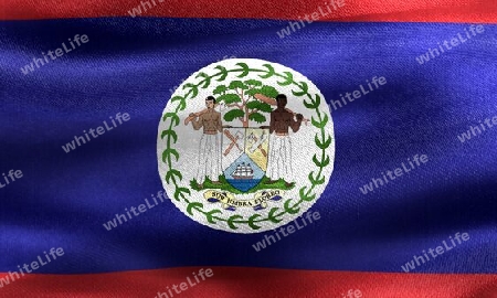 Belize flag - realistic waving fabric flag