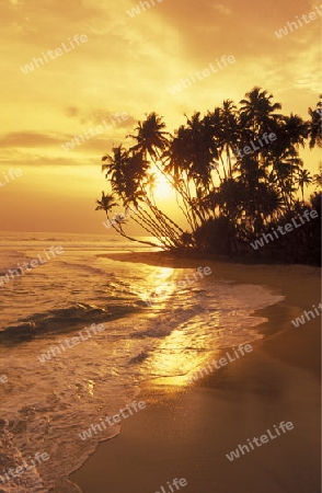 Asien, Indischer Ozean, Sri Lanka,
Ein Traumstrand beim Kuestendorf Hikkaduwa an der Suedwestkueste von Sri Lanka. (URS FLUEELER)






