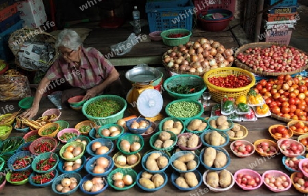 Gemuese auf dem Markt von Nonthaburi im Norden von Bangkok der Hauptstadt von Thailand in Suedostasien.  