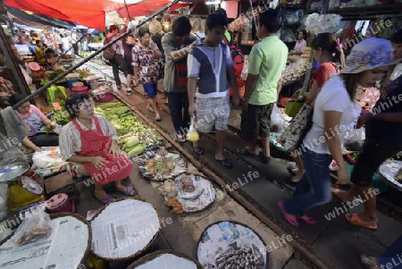 the Maeklong Railway Markt at the Maeklong railway station  near the city of Bangkok in Thailand in Suedostasien.